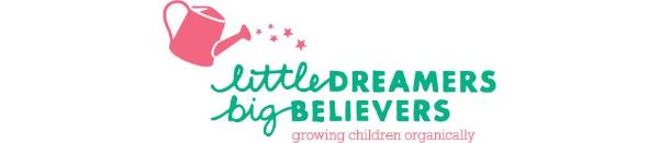 Little Dreamers Big Believers LLC